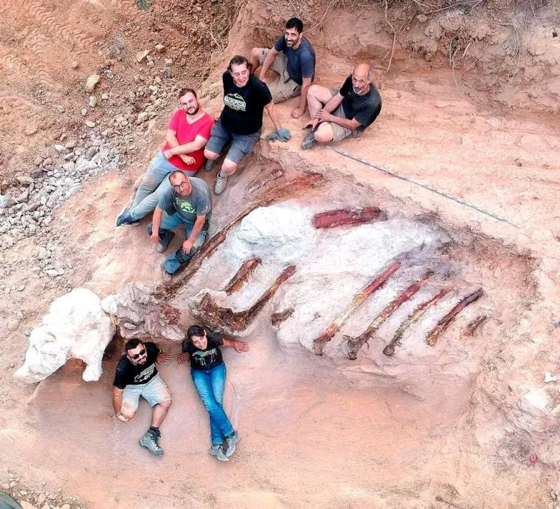 El accidental hallazgo fósil del dinosaurio más grande en Europa