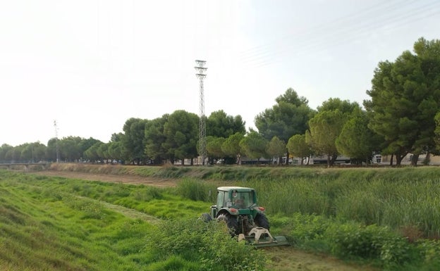 Beniparrell limpia el barranco para evitar inundaciones