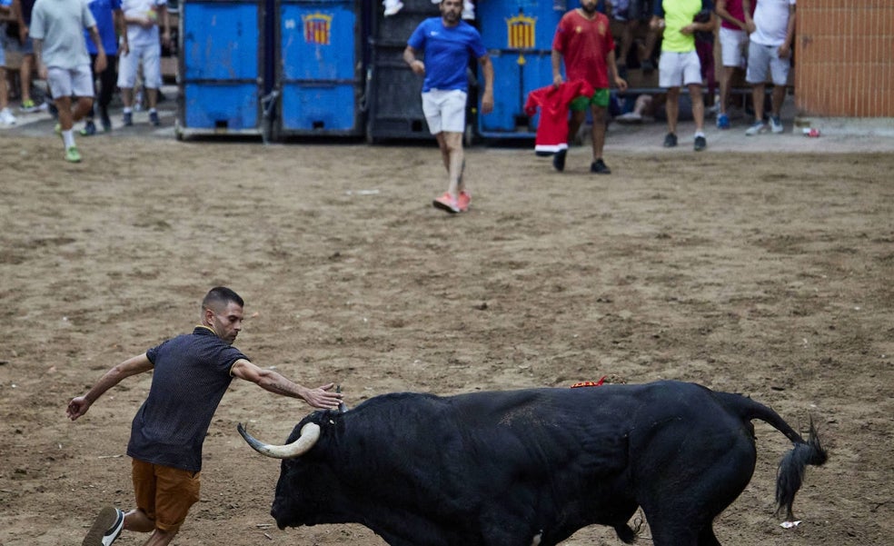 Carpesa y Benifaraig celebraron festejos pese a presumir Ribó del veto