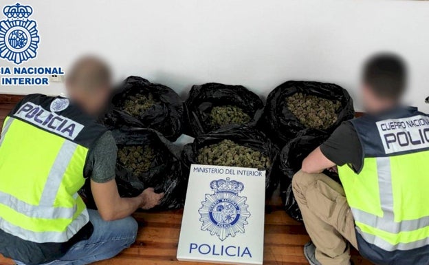 Detenidos tras una persecución en Elda dos hombres que llevaban 13,5 kilos de marihuana en el coche