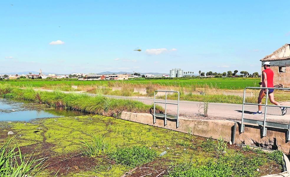 La Albufera sólo recibe cinco de los 600 millones anunciados por Puig hace un año