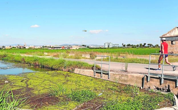 La Albufera sólo recibe cinco de los 600 millones anunciados por Puig hace un año