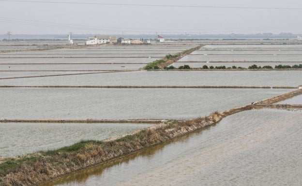 El PP exigirá en el Congreso más inversiones en la Albufera