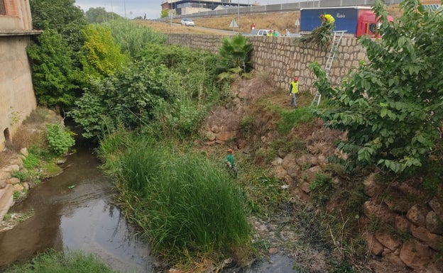 Alzira inicia la limpieza del barranco de la Casella para facilitar el paso del agua