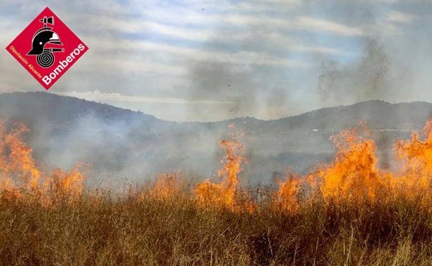 Extinguen un incendio de matorrales originado por la quema de un contenedor en La Romana