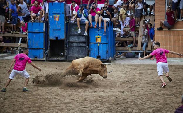 Dónde hay bous al carrer en la Comunitat por el 8 de septiembre y el fin de semana