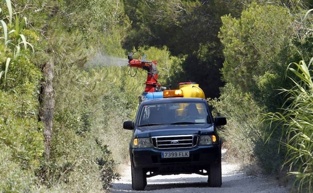 Los 300 focos de mosquitos en Valencia