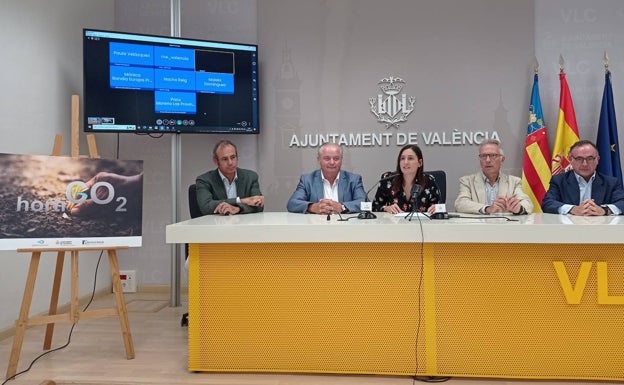 Valencia estrena un proyecto para medir la capacidad de absorción de carbono de l'Horta