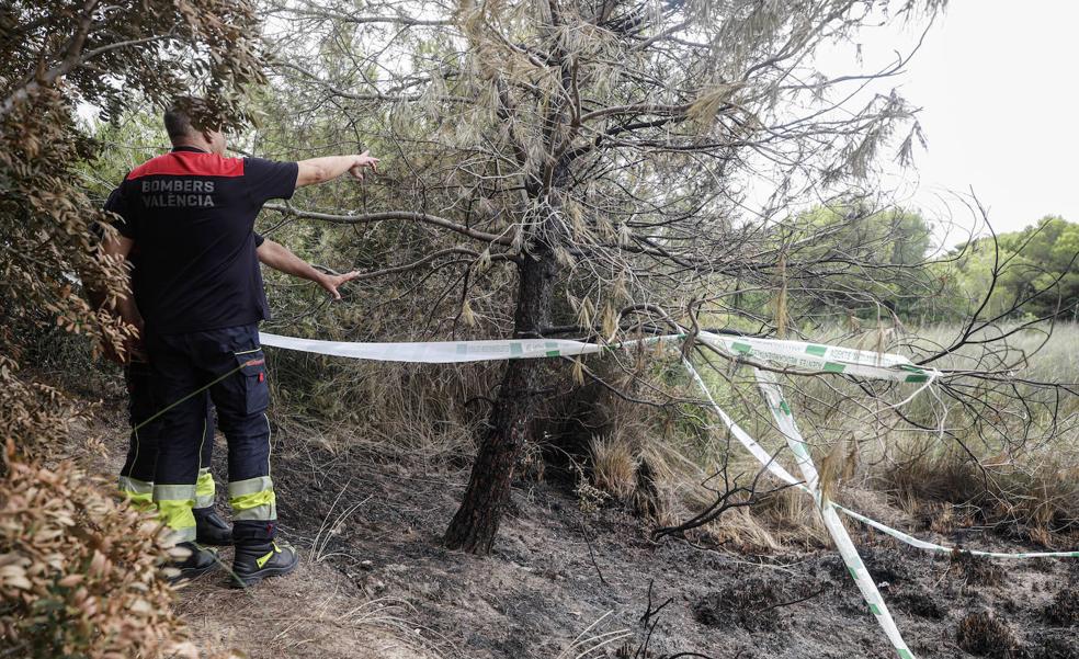 Segundo incendio en El Saler en menos de 24 horas