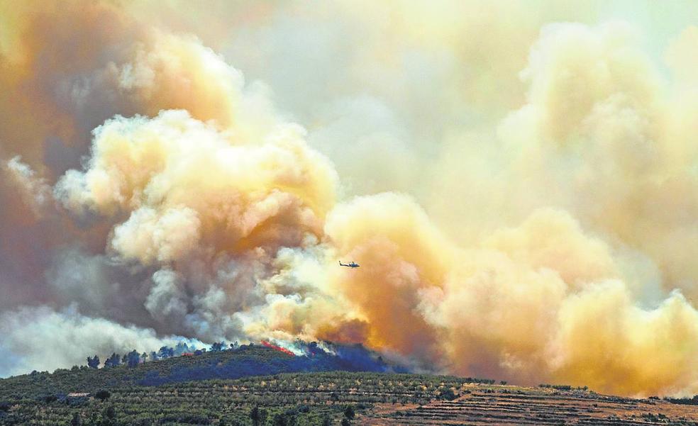 El Consell reduce un 80% las ayudas a la gestión forestal en un año con incendios