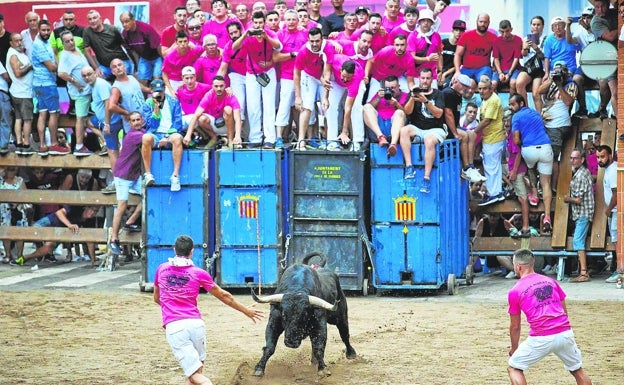 Los municipios proponen crear una mutua con las diputaciones para cubrir los bous al carrer