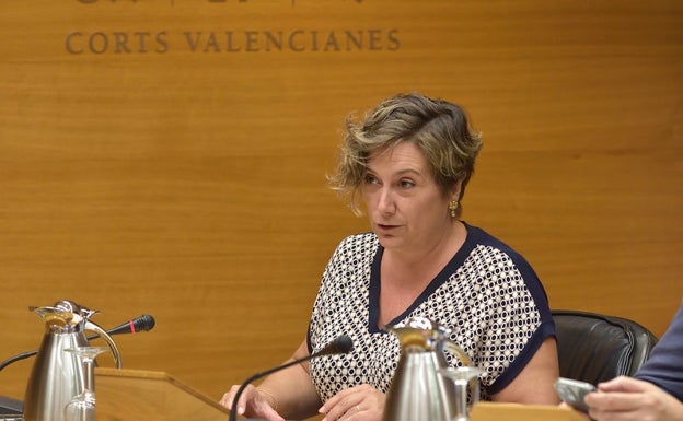 Tamarit, sobre la profesora excluida por carecer del título de valenciano: «Ha tenido tiempo para formarse»