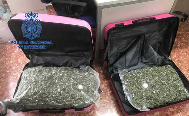 Detenido en Gandia con más de 7.100 gramos de marihuana