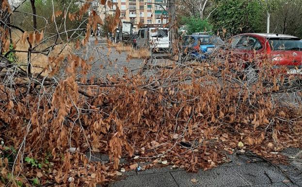 El abandono se extiende por las calles de Cruz Cubierta