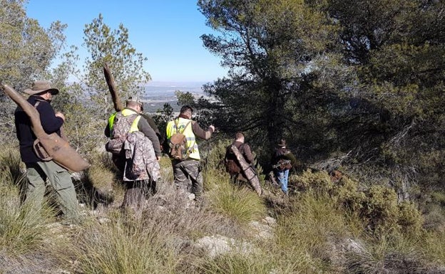 Batida de jabalíes en la Sierra Mariola en el término de Bocairent