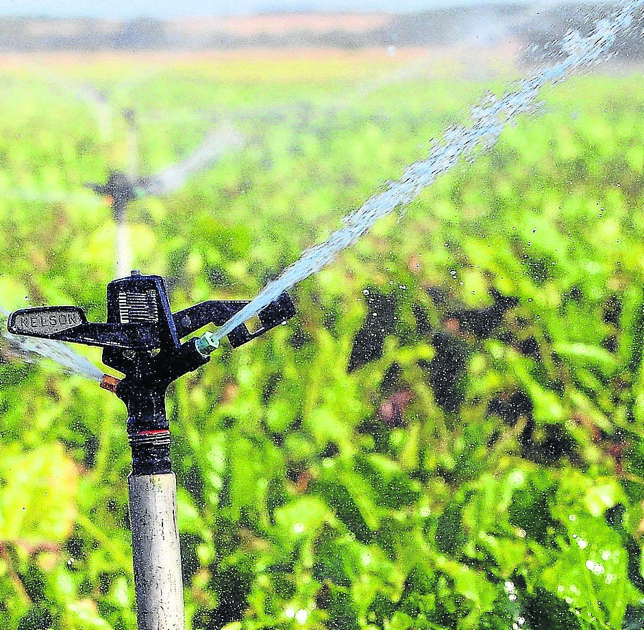 Facturas de luz de 55.000 euros ahogan aún más a los agricultores valencianos