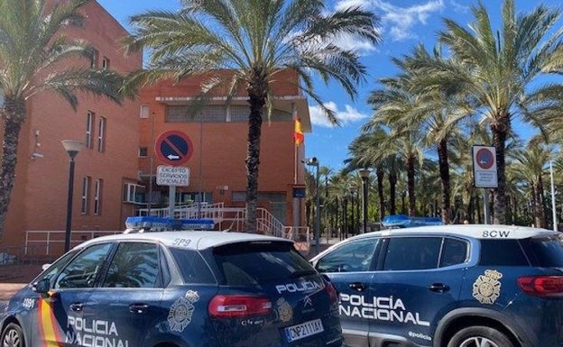 Desmantelan una plantación de marihuana en una vivienda okupada en Elche