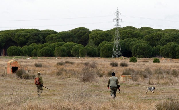 Los cazadores demandan contra la igualdad de todos los perros como mascotas