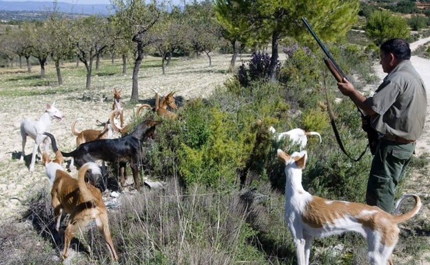 Los agricultores valencianos apoyan a los cazadores y tachan de «absurdo» considerar los perros de trabajo como mascotas