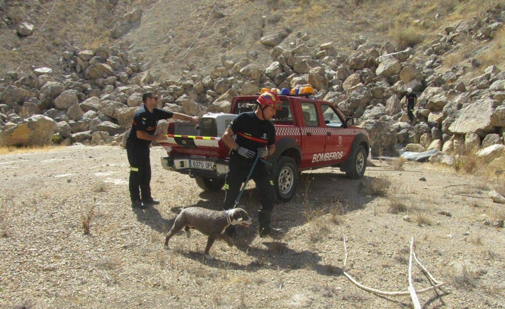 Los absurdos de la nueva ley de bienestar animal: lazarillos, perros policía y canes de rescate se consideran mascotas