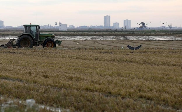 El cambio climático, la patata más caliente que nadie quiere tramitar en la Generalitat