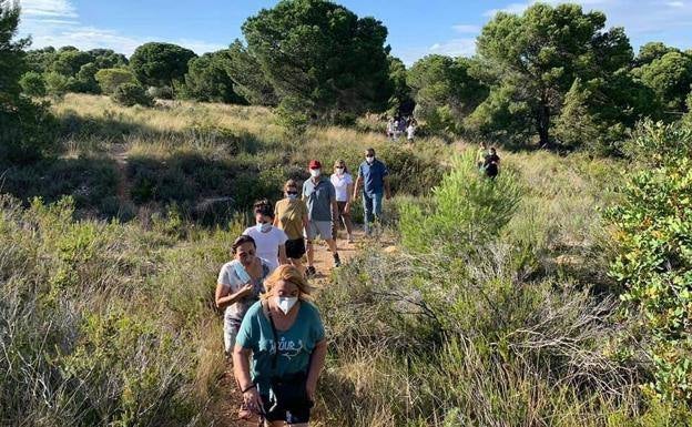 Acció Ecologista-Agró pide a la Conselleria que paralice el PAI que afecta a la Torreta del Pirata