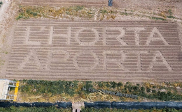 Una mirada a la huerta desde el arte y la gastronomía