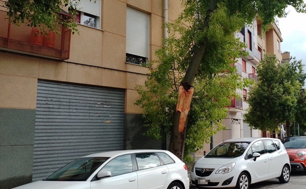 Los bomberos actúan de madrugada por la caída de un árbol en Xàtiva