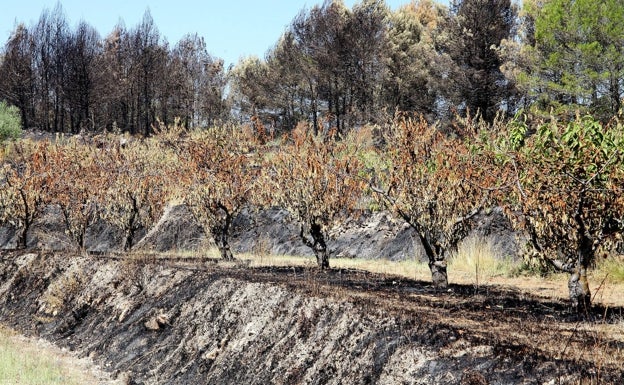 Enseñan a los agricultores afectados por el incendio a rehacer los márgenes de los campos