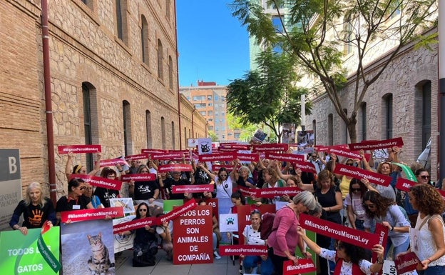 Movilización animalista contra la exclusión de los perros de caza en las leyes de protección