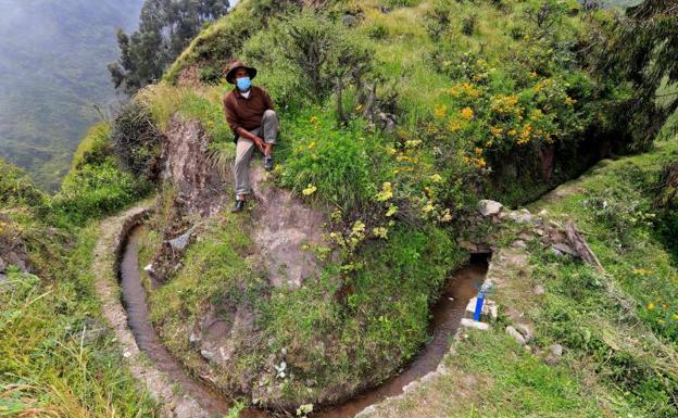 Los productos que más vende Perú al mundo: es el primer exportador mundial de tres alimentos