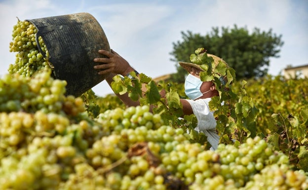 Las PAC deja fuera de las ayudas para 2023 a la mitad de los agricultores valencianos