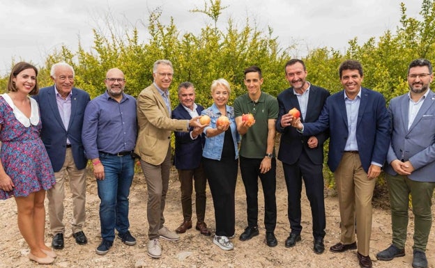 La campaña de la granada mollar también se resiente por las condiciones climatológicas