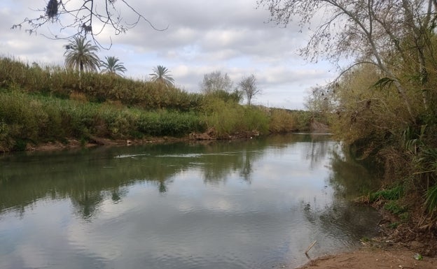 Alzira apuesta por crear una playa fluvial como atractivo turístico