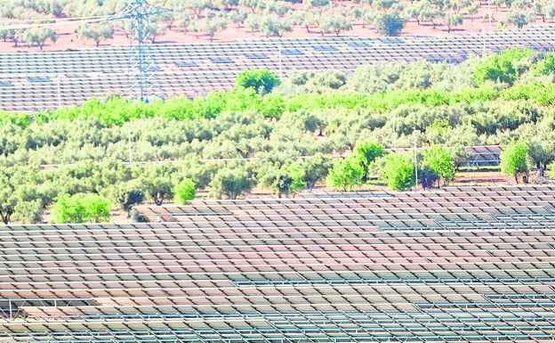 Más de 160 pymes valencianas se juegan su patrimonio con el atasco en la fotovoltaica