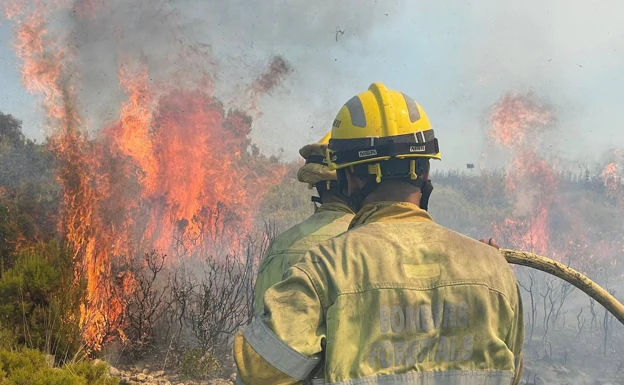 34 municipios se reparten las ayudas por los incendios de este verano en la Comunitat