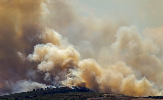 Tres de cada cinco incendios forestales son provocados por causas humanas