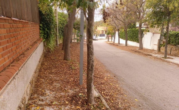 Manifestación en Paterna del tejido asociativo por la accesibilidad y limpieza en La Canyada