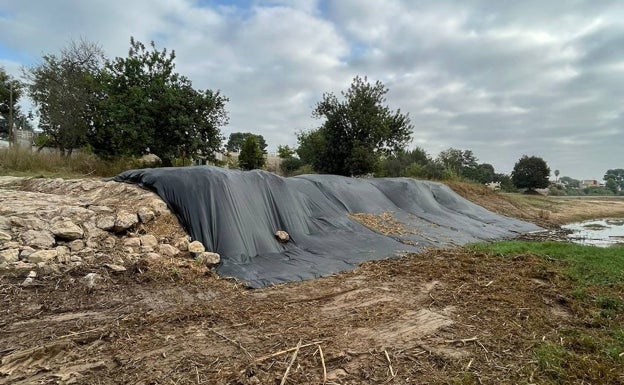 Torrent elimina las cañas en tres hectáreas del barranco y busca mantener un caudal mínimo para recuperar el 'petxinot'