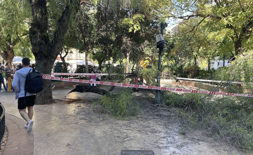 Un herido leve al caer una rama de grandes dimensiones sobre un parque infantil en Valencia