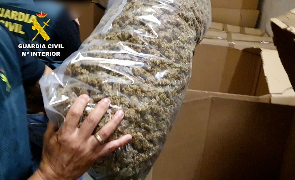 Cifran en 180 millones el valor del mayor alijo de marihuana en Quatretonda
