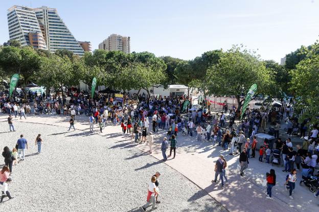 El Gulliver pedirá por megafonía estar sólo una hora cuando haya colas en la puerta