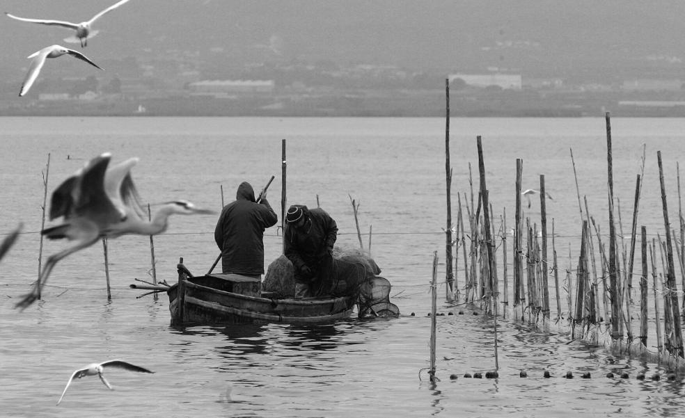 La Albufera, otro año en blanco