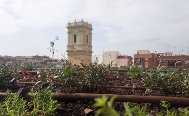 Una cubierta vegetal en el edificio consistorial de Alaquàs mejora la eficiencia energética y aumenta la biodiversidad