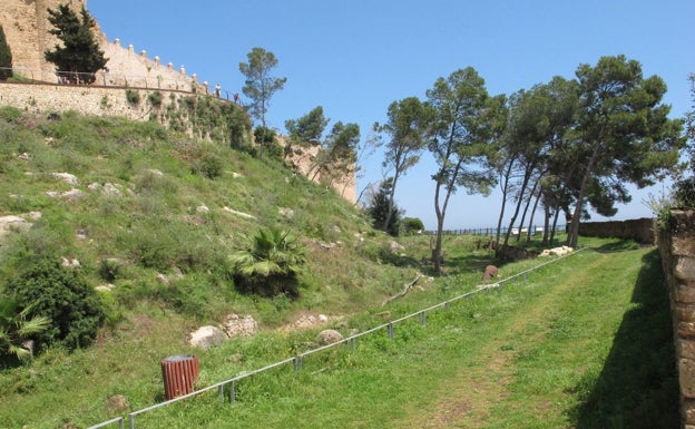 Dénia cierra cuatro días el castillo para fumigar contra la procesionaria