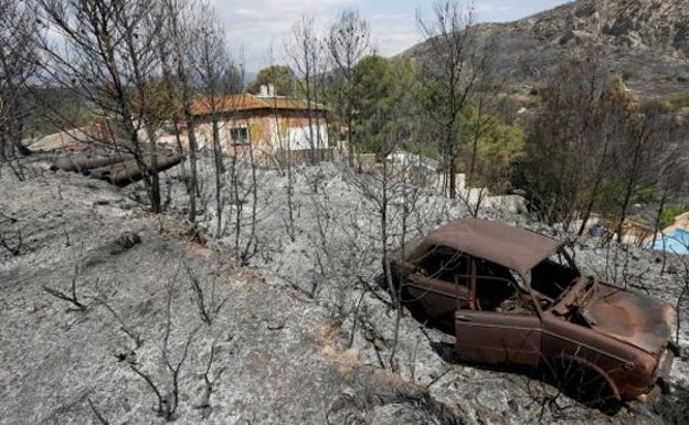 El PP de Carcaixent reclama 600.000 euros para reforestar las montañas