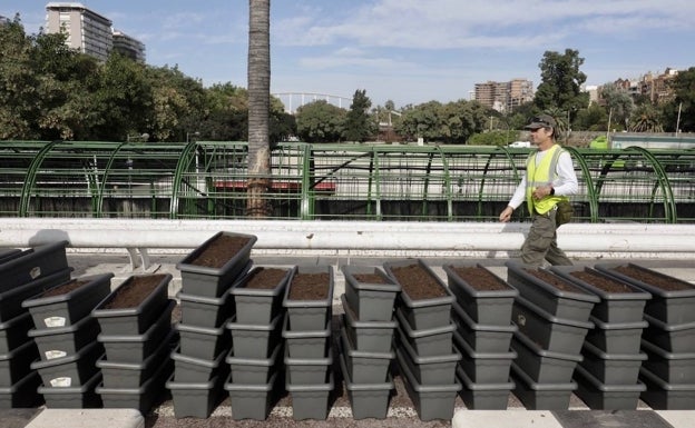 Rondallas, deporte, excursiones turísticas y homenaje a los centenarios para celebrar la Semana de los Mayores
