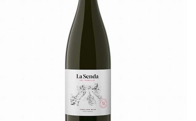 Vinos valencianos: catando las nuevas añadas