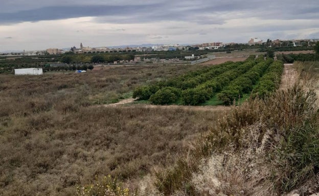 La Pobla de Farnals baja el IBI rústico para evitar el abandono de los campos