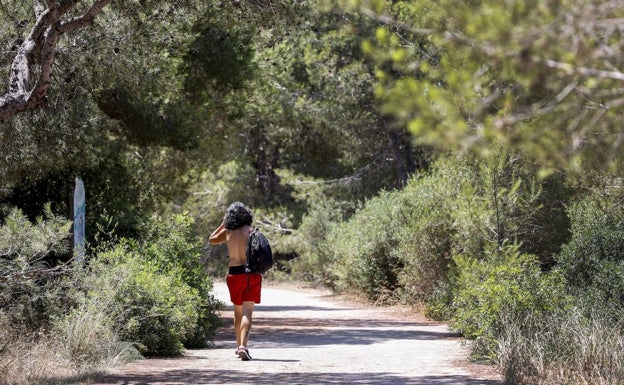 Los planes de Valencia con el parque de la Albufera en 2023